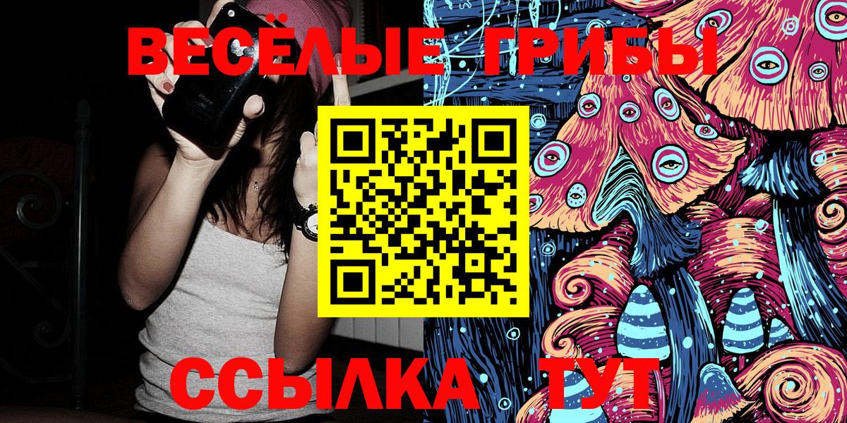 Протвино  Галлюциногенные грибы Psilocybe  Вход с VPN 